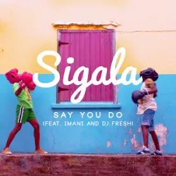 Say You Do album by Sigala