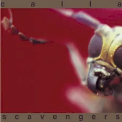 Scavengers album by Calla