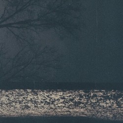 Virgo Indigo album by Fog Lake