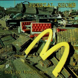 Not So Tough Now album by Frenzal Rhomb