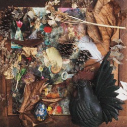 Arrangement album by Merzbow