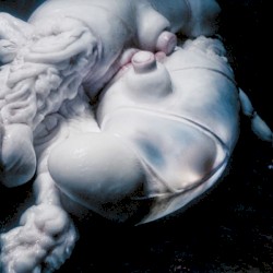 Arisen My Senses album by Björk