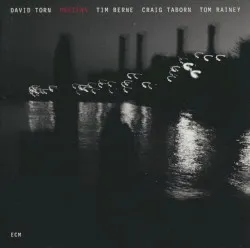Prezens album by David Torn