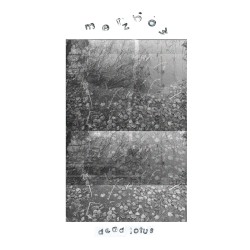 Dead Lotus album by Merzbow