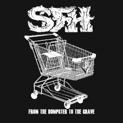 From the Dumpster to the Grave album by Star Fucking Hipsters