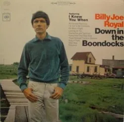 Down in the Boondocks album by Billy Joe Royal