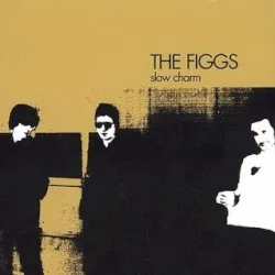 Slow Charm album by The Figgs