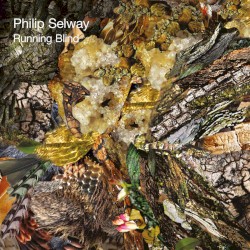 Running Blind album by Philip Selway