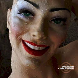A Trace of Memory album by Sanguine Hum