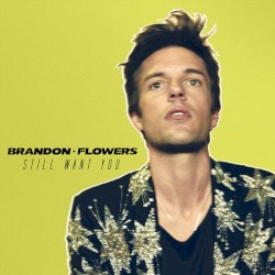 Still Want You album by Brandon Flowers