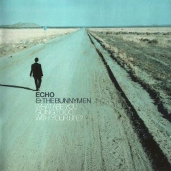 What Are You Going to Do with Your Life? album by Echo & the Bunnymen
