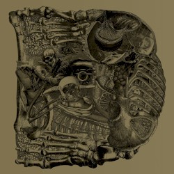 Dear album by Boris