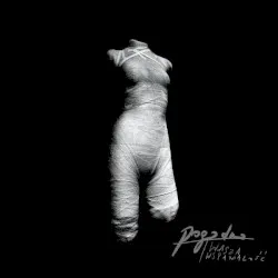 Wasza Wspaniałość album by Pogodno