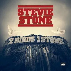 2 Birds 1 Stone album by Stevie Stone
