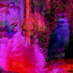 Crash for Hi-Fi Tapes album by Merzbow