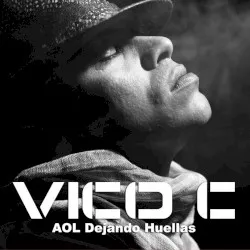 AOL Dejando Huellas album by Flex