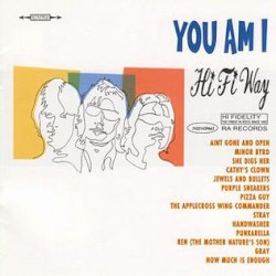 Hi Fi Way album by You Am I