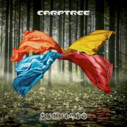 Subimago album by Carptree