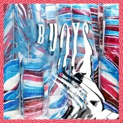Buoys album by Panda Bear