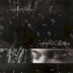 Background album by Bassi Maestro