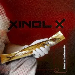 Návod ke čtení manuálu album by Xindl X