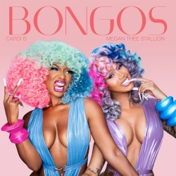 Bongos album by Megan Thee Stallion