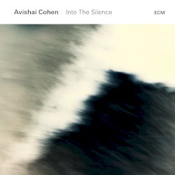 Into the Silence (Avishai Cohen album)