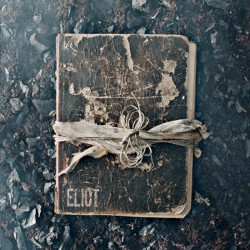 The Book of Eliot album by Hord