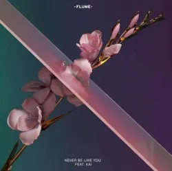 Never Be Like You album by Kai