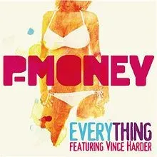 Everything album by Vince Harder