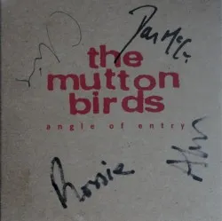 Angle of Entry album by The Mutton Birds
