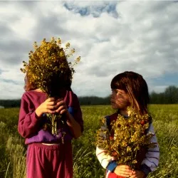 Honey album by Open Hand