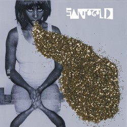 Santogold album by Santigold