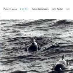 Juni album by Peter Erskine