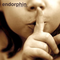 Soon After Silence album by Endorphin
