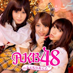 Koko ni Ita Koto album by AKB48