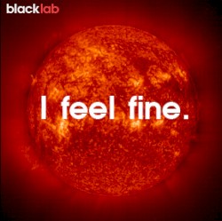 I Feel Fine album by Black Lab
