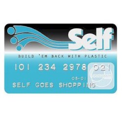 Self Goes Shopping album by Self
