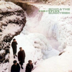 Porcupine album by Echo & the Bunnymen