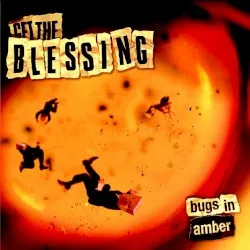Bugs in Amber album by Get the Blessing