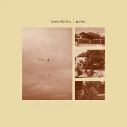 Patient album by Bluebottle Kiss
