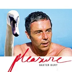 It's a Pleasure album by Baxter Dury