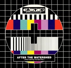 After the Watershed (Early Learning the Hard Way) album by Carter the Unstoppable Sex Machine