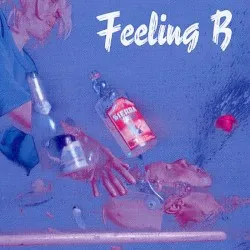 Wir Kriegen Euch Alle album by Feeling B