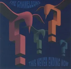 This Never Ending Now album by The Chameleons