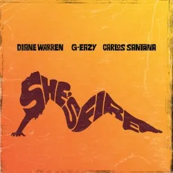 She’s Fire album by Diane Warren
