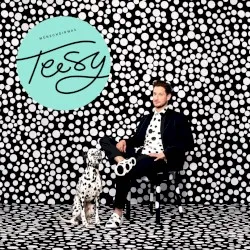 Wünschdirwas album by Teesy