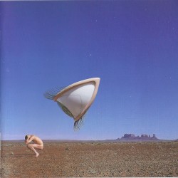 Bury the Hatchet album by The Cranberries