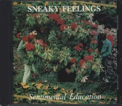 Sentimental Education album by Sneaky Feelings