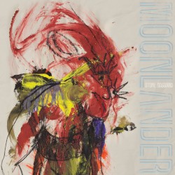 Moonlander album by Stone Gossard